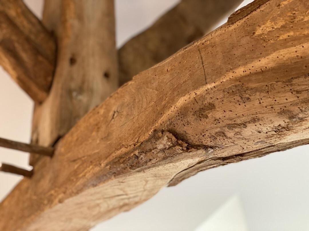 Le Domaine D'Angerville - Chambres D'Hotes ห้อง รูปภาพ